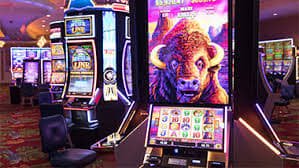 Live casino studio with multiple camera angles and dealer interaction
